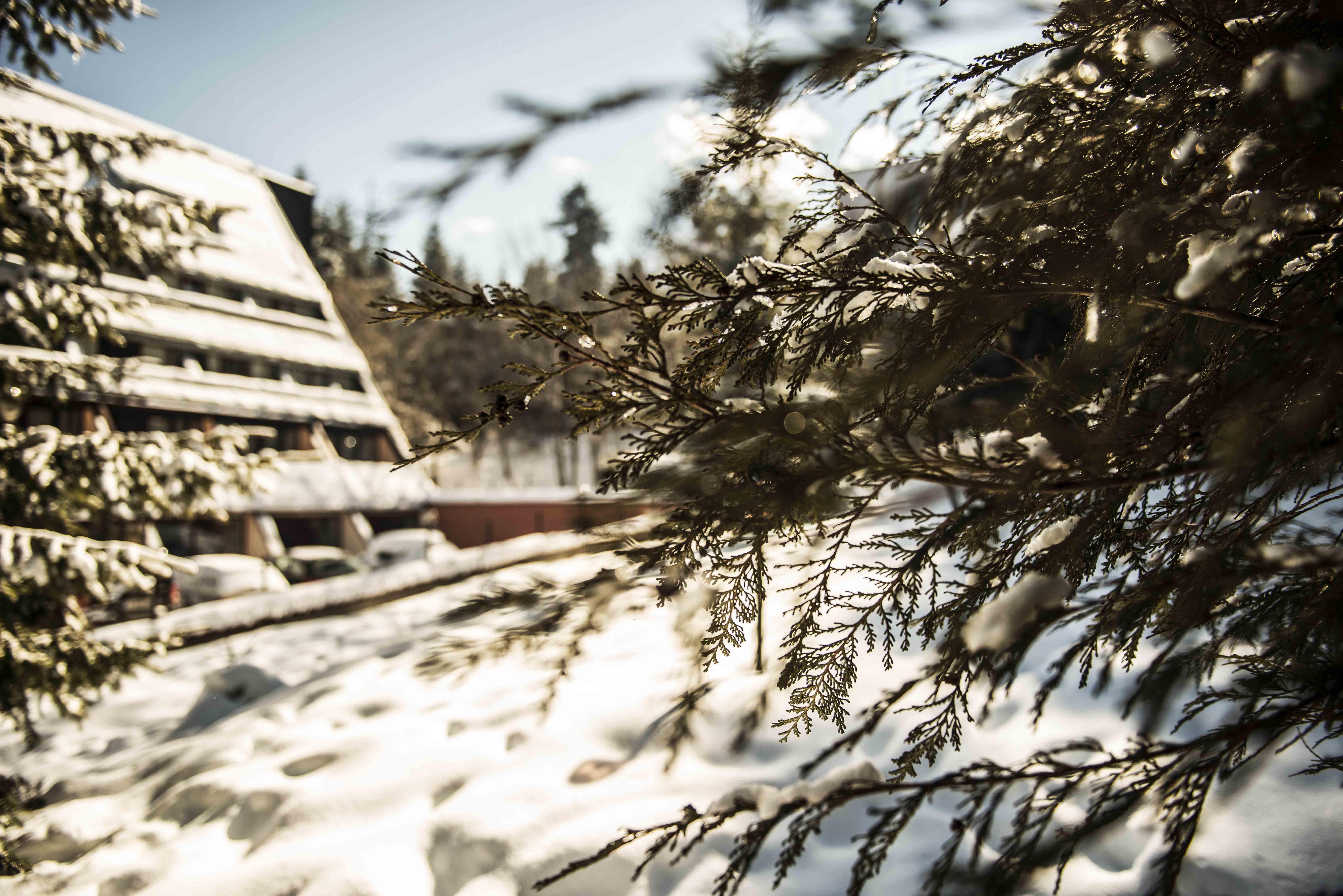 Moura Boutique Hotel By Asteri Hotels Borovets Exterior photo